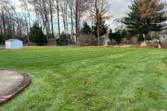 ho-state-garden-landscaping-39