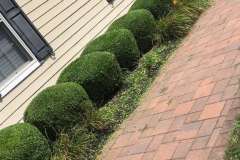 ho-state-garden